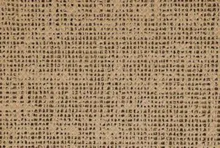 Tenttapijt - onder de luifel